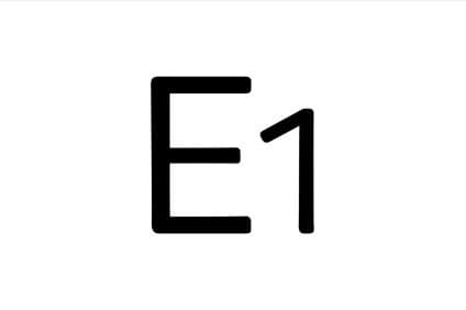 E1